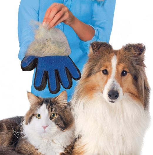 The Best Dog Grooming Glove - Small Animal Planet