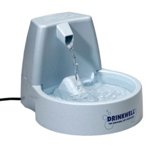 Drinkwell Pet Fountain Review